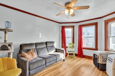 38 Semont Rd unit 1, Dorchester Center, MA 02124 - photo 6