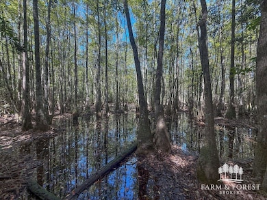 XX1 Decon Rd E, Bonifay, FL 32425 - photo 5