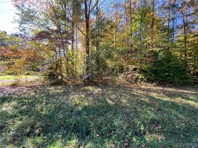 TBD Red Pine Rd, Caroline, VA 22546 - photo 2