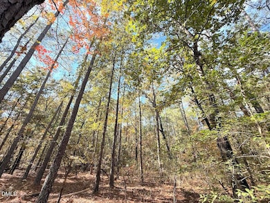 0 Elfman Dr, Anderson Creek, NC 28390 - photo 7