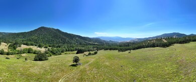 Firebird Farms_04