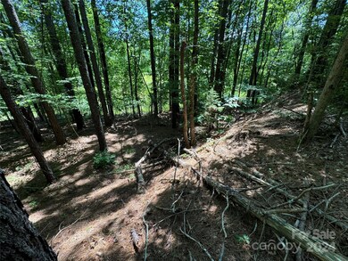 0 Edgerton Rd, Mill Spring, NC 28756 - photo 5