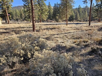 20231128_103848_resized