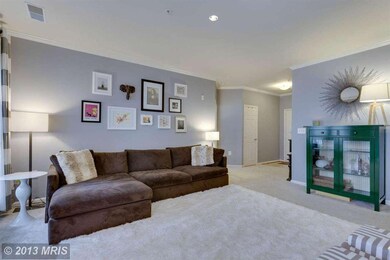 1515 N Point Dr unit 203, Reston, VA 20194 - photo 5