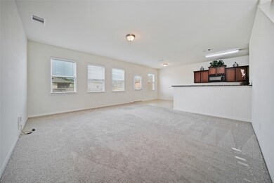 22714 Klingamans Way, Hockley, TX 77447 - photo 2