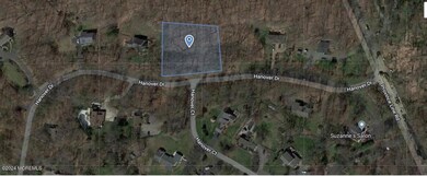 Sat View