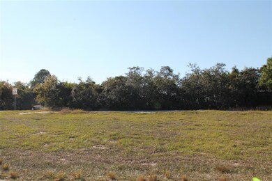 0 Rocky Point Rd, Lake Wales, FL 33898 - photo 3
