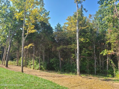 151 Goodlett-Kilner Ct, Mount Washington, KY 40047 - photo 7