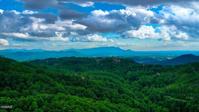 DJI_0896