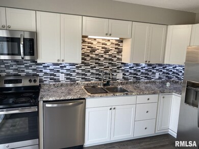 4125 N Elsie Ave, Davenport, IA 52806 - photo 7