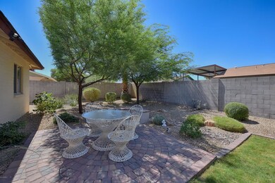 Backyard 4
