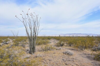 Lone Ranger Rd - 6