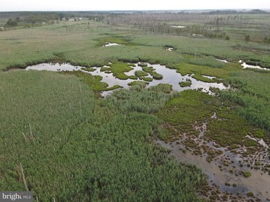 2673 Wesley Church Rd, Crapo, MD 21626 - photo 3