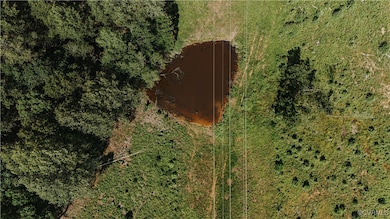 00 Holly Tree Dr, Pamplin, VA 23958 - photo 4