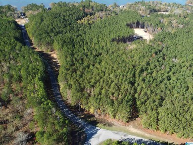 Lot 221 Shore Side Ln, Sylacauga, AL 35151 - photo 6