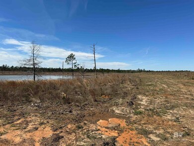 4 County Road 64 unit Lot 4, Robertsdale, AL 36567 - photo 3