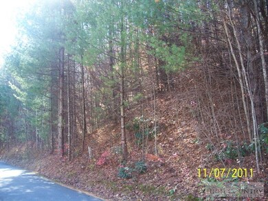 Additional View