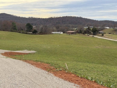 Tract #1 Ky Hwy 829, Albany, KY 42602 - photo 3