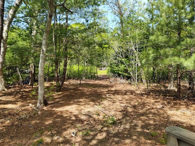 127 Patriot Way, Centerville, MA 02632 - photo 2