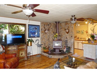 Fireplace Wood Burning Stove/Insert