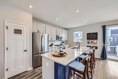 13689 Marsh View Trail, Rogers, MN 55374 - photo 6