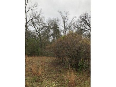 00 Old Tyler Rd, Nacogdoches, TX 75964 - photo 7