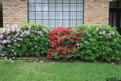 6007 Stoneleigh Dr, Tyler, TX 75703 - photo 2