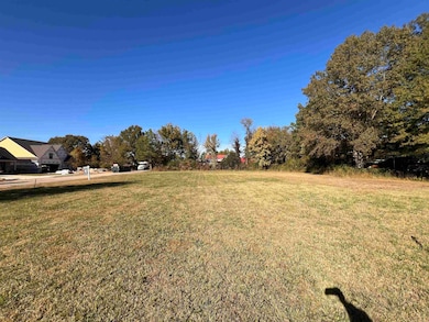 65 Blue St, Oakland, TN 38060 - photo 6