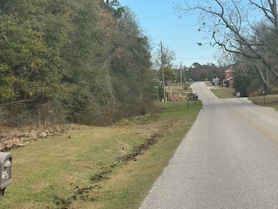 Lot 1 Freemanville Dr, Atmore, AL 36502 - photo 6