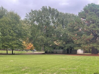 11271 Fm 2607, Arp, TX 75750 - photo 2