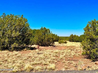 20250516082904801618000000-o