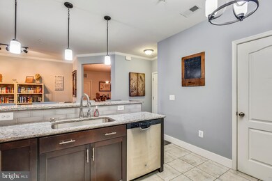 41895 Cathedral Valley Square unit 207, Aldie, VA 20105 - photo 7