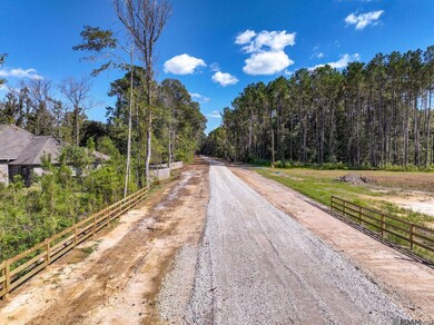 34754 Clinton Allen Rd, Denham Springs, LA 70706 - photo 4