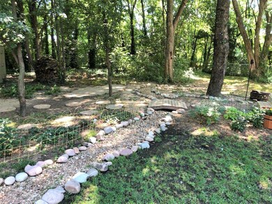 Back yard 2