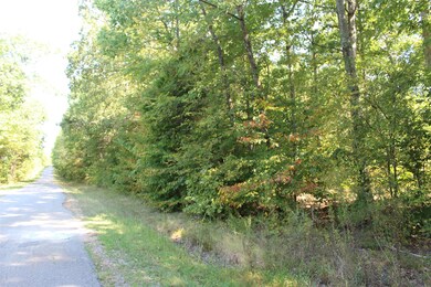 1 Hurricane Church Rd, Stewart, TN 37175 - photo 2