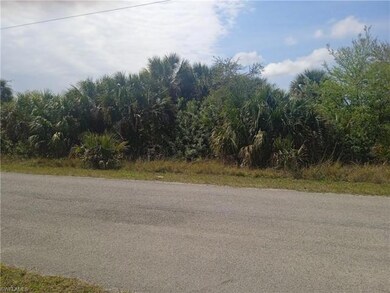 2605 Hanna Ave N, Lehigh Acres, FL 33971 - photo 2