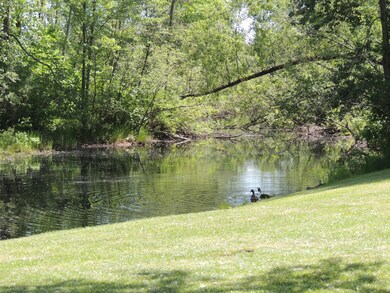 Large Pond