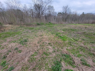 0 Bobby Burns St unit 83223017, Houston, TX 77028 - photo 5