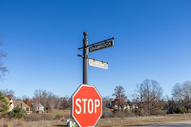 11549 Shamrock Ct, Stanwood, MI 49346 - photo 2