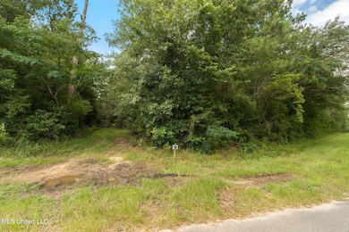 Herman_Ladner_Road_Lot_9-4