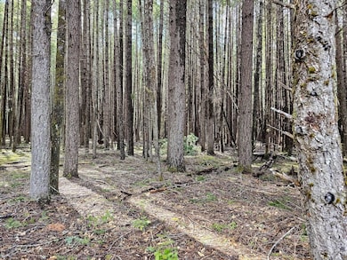 Fernwood 7