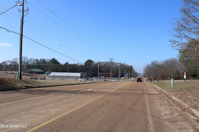 8568 Goodman Rd, Olive Branch, MS 38654 - photo 2