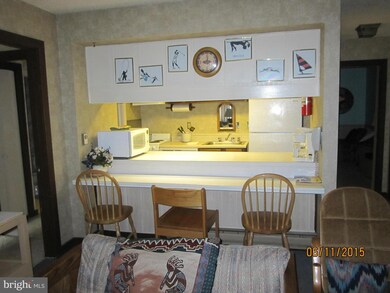 1836 Fairway Dr unit 202, Basye, VA 22810 - photo 4