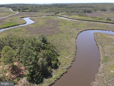 2504 Wesley Church Rd, Crapo, MD 21626 - photo 7