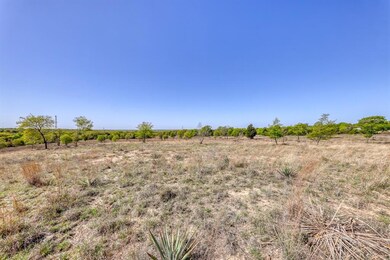 TBD 61 Bosal Ln, Weatherford, TX 76088 - photo 5