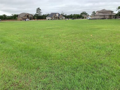 29750 Kiskadee Ln, Hockley, TX 77447 - photo 4