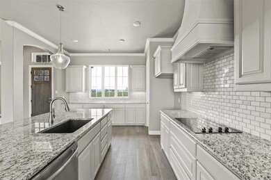 6897 Veal Station Rd, Weatherford, TX 76085 - photo 4