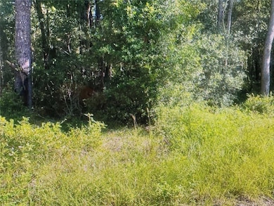 TBD St Benedict Drive Lot 113 Dr, Dunnellon, FL 34432 - photo 2