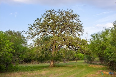 0 Old Seguin Luling Rd unit 588407, Seguin, TX 78155 - photo 6