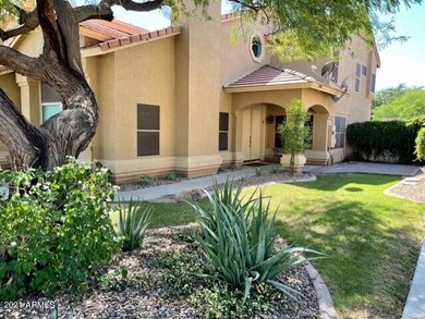 Coyote Canyon Front Yard